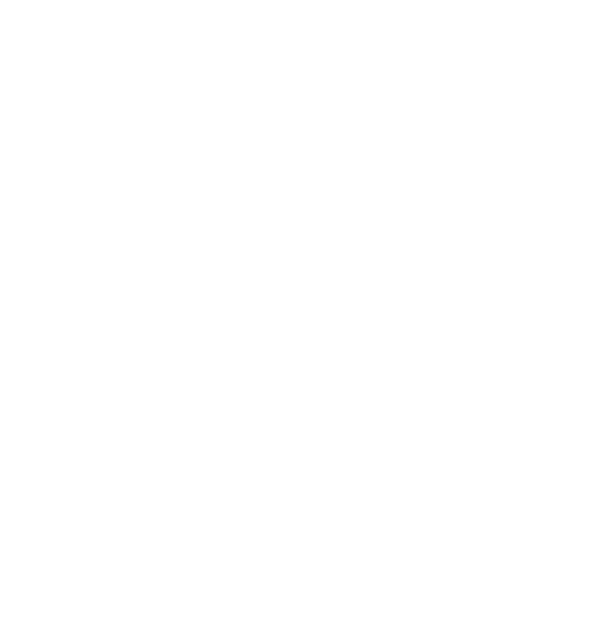 SUNFLAIR